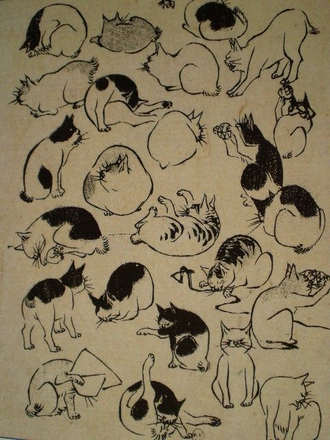 Consider, that asian cat sketches pity For explanation. asian cat sketches thank for