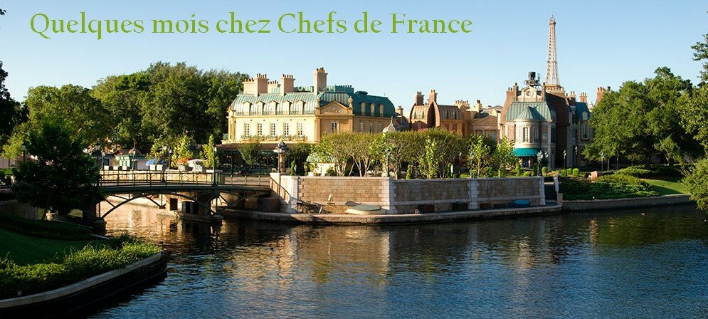 Disney, quelques mois chez Chefs de France