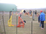 ERA en Agility 70773502_p