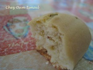 IMG_2206_copie