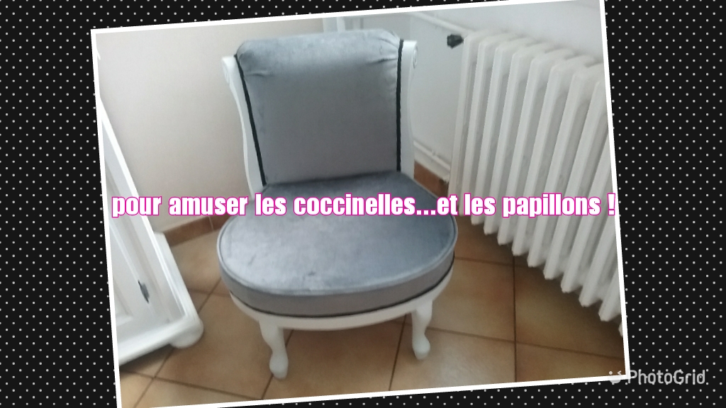 Pour amuser les coccinelles.....et les papillons !