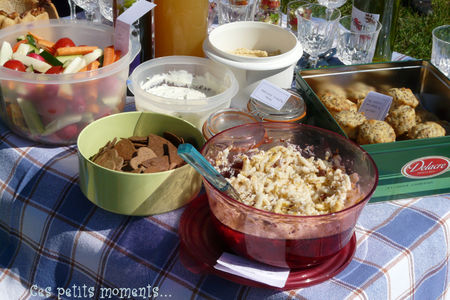 picnic_sal__6