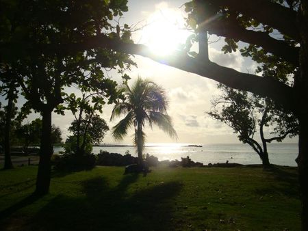 DSC07991