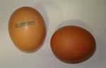 codigo_de_los_huevos