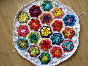 african_flower3