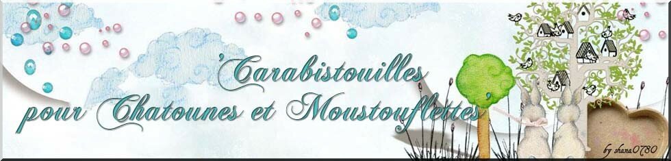 Carabistouilles pour Chatounes & Moustouflettes