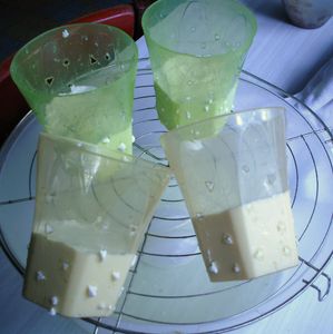 yaourt et fromage "maison" 26129010_p