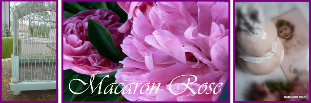 macaron rose