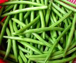 Haricots_20crus_t