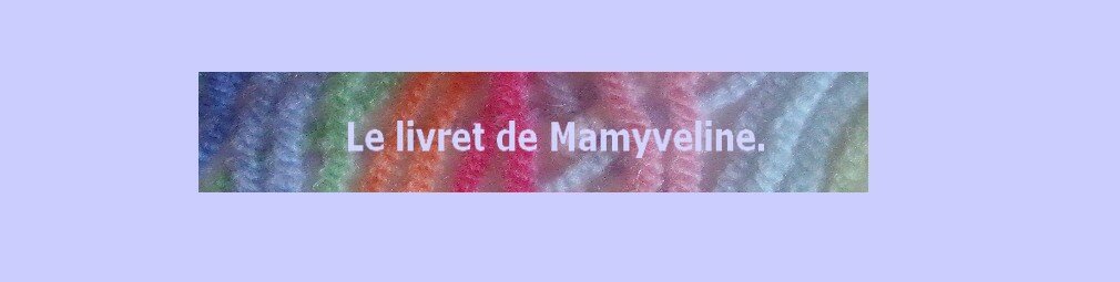 Le livret de Mamyveline.