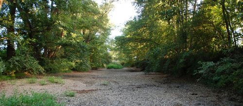 43300301_m.jpg