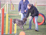 ERA en Agility 70751638_p
