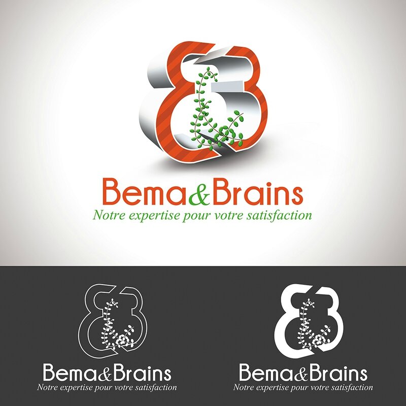 logos bema and brains 3Dcmjn + acacia