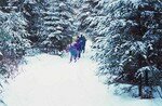Ski_20de_20fond