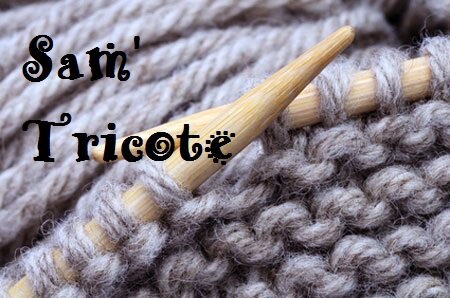 sam'tricote