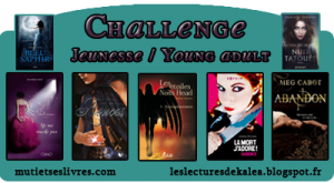 challenge jeunesse young adult