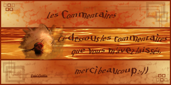 Commentaires