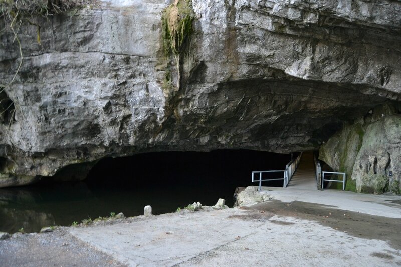 grottes de han (230)