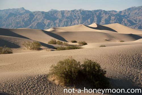 desert in the death valley