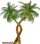gif vacances cocotiers tropicaux