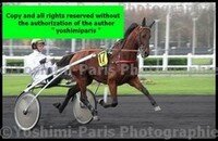 Master Grand National du Trot Paris-Turf 6 decembre 2015,heat Tornado Bello,copie blog,©Yoshimi-Paris Photographie,I7D_6612 (3)