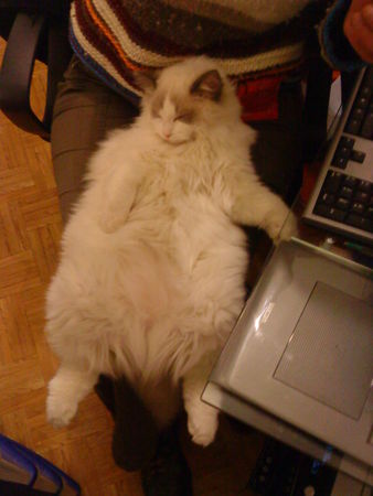 Brugidolls Han, alias Hanou - Page 2 46633509_p