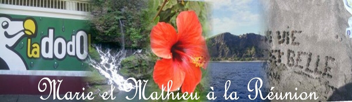 Marie et Mathieu à la Réunion