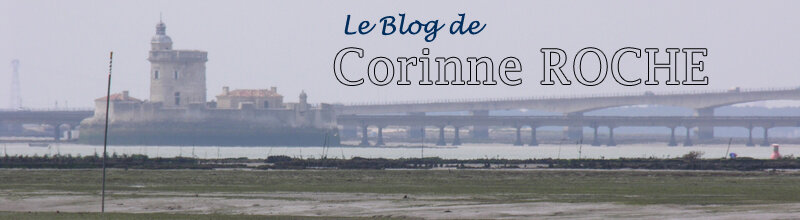 Blog de Corinne Roche