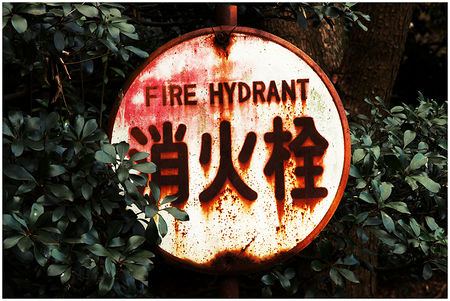 212_Fire_Hydrant