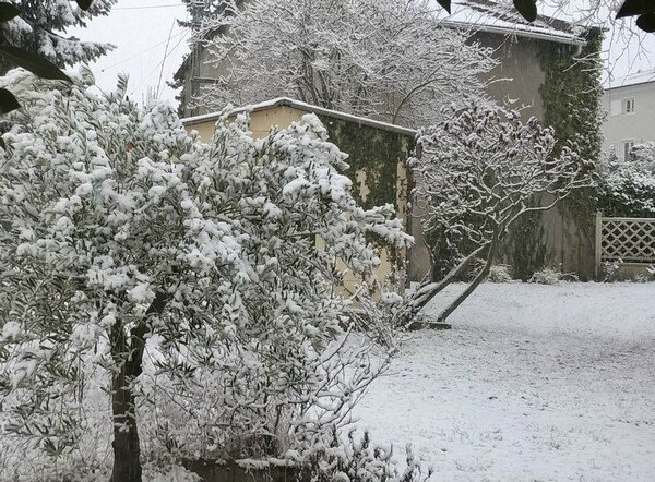 jardin en février 2018 le 5 épisode neigeux 03