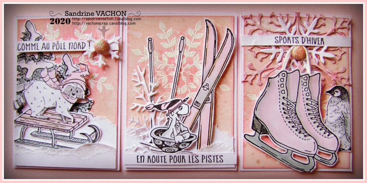 ATC janvier 2020 L'HIVER EN ROSE ET BLANC