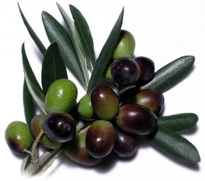 olives