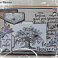 Pour 3 -