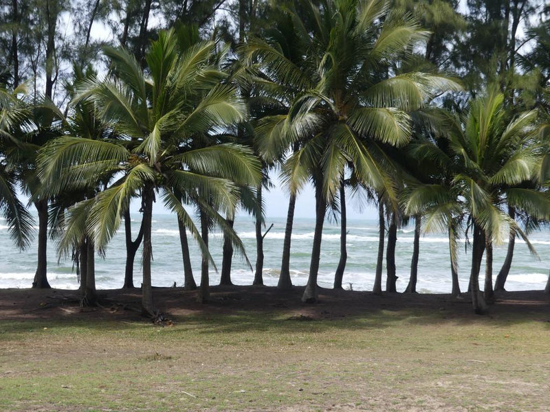 P1240006