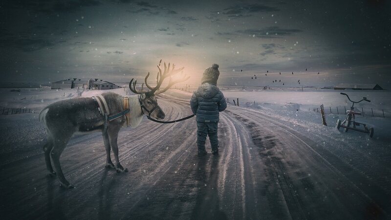 wintry_2014228_1920