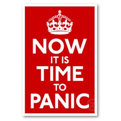 now_it_is_time_to_panic