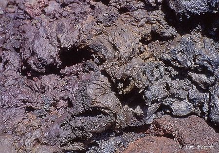 lavefournaise01