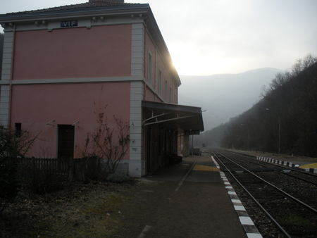 Vif