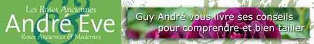 Entete_Andre__EVE
