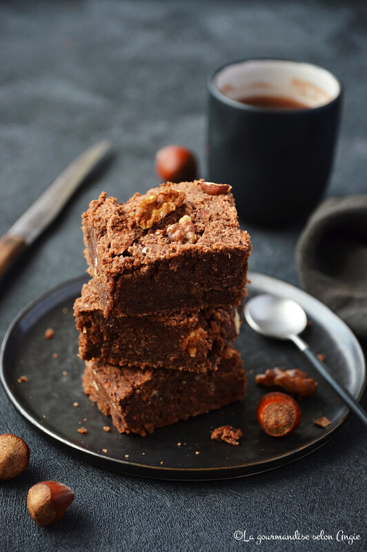 brownie chocolat okara vegan sans gluten sans farine sans oeufs