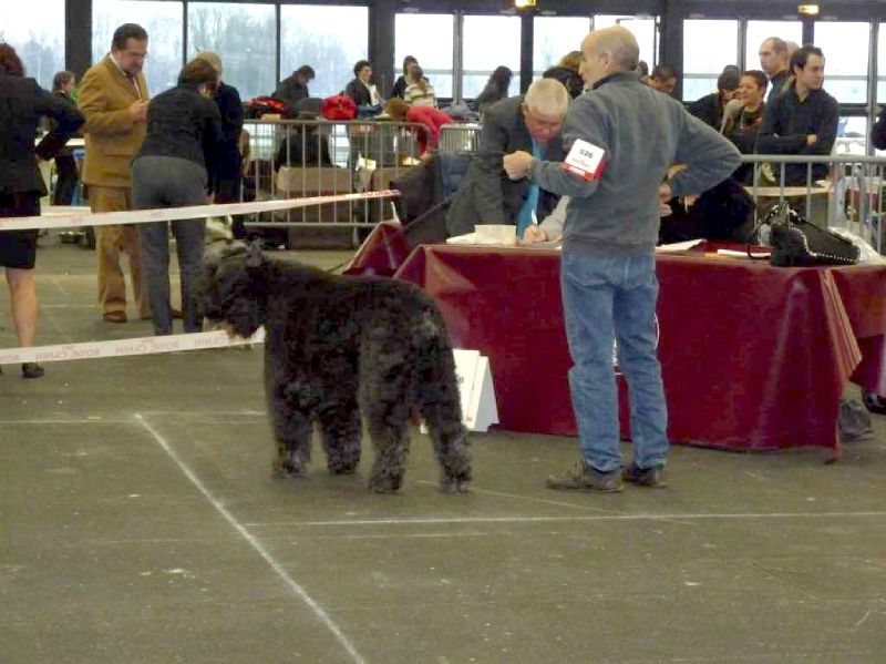 UROS expo internationale bordeaux 01/2012