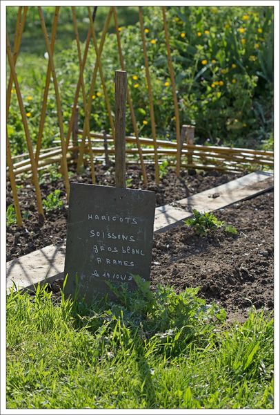 ville jardin ardoise haricots 270413