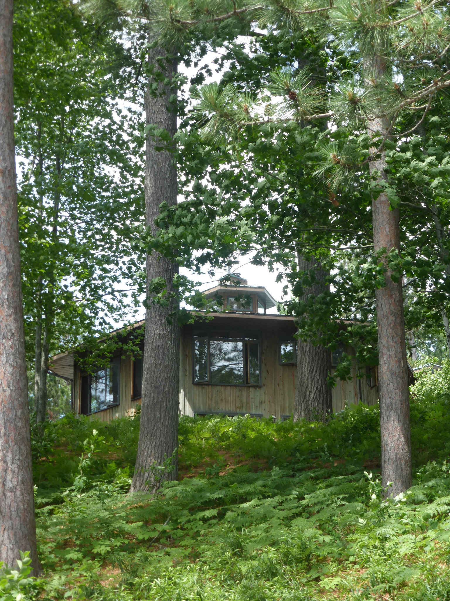 Kazabazua / Danford Lake les chosettes