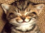 chat-sourire