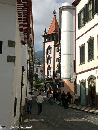 8754_Rue_Funchal