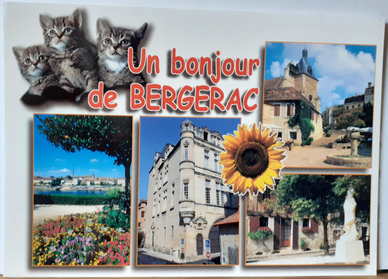 Bergerac 4867 V