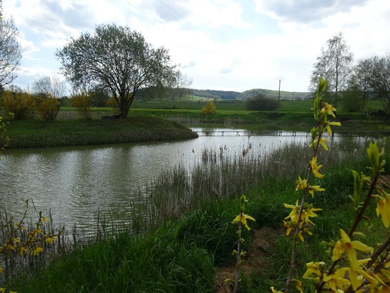 étang près de la ferme Saint Louis