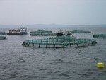 fish_farming