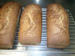 Photo0086