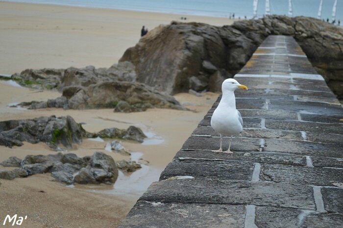 150502_saint_malo9